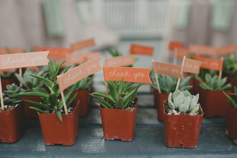 Thank you and Let Love Grow!
