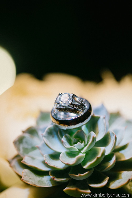 Cloninger_Howard_Kimberly_Chau_Photography_kathleenthomaswedding462_low