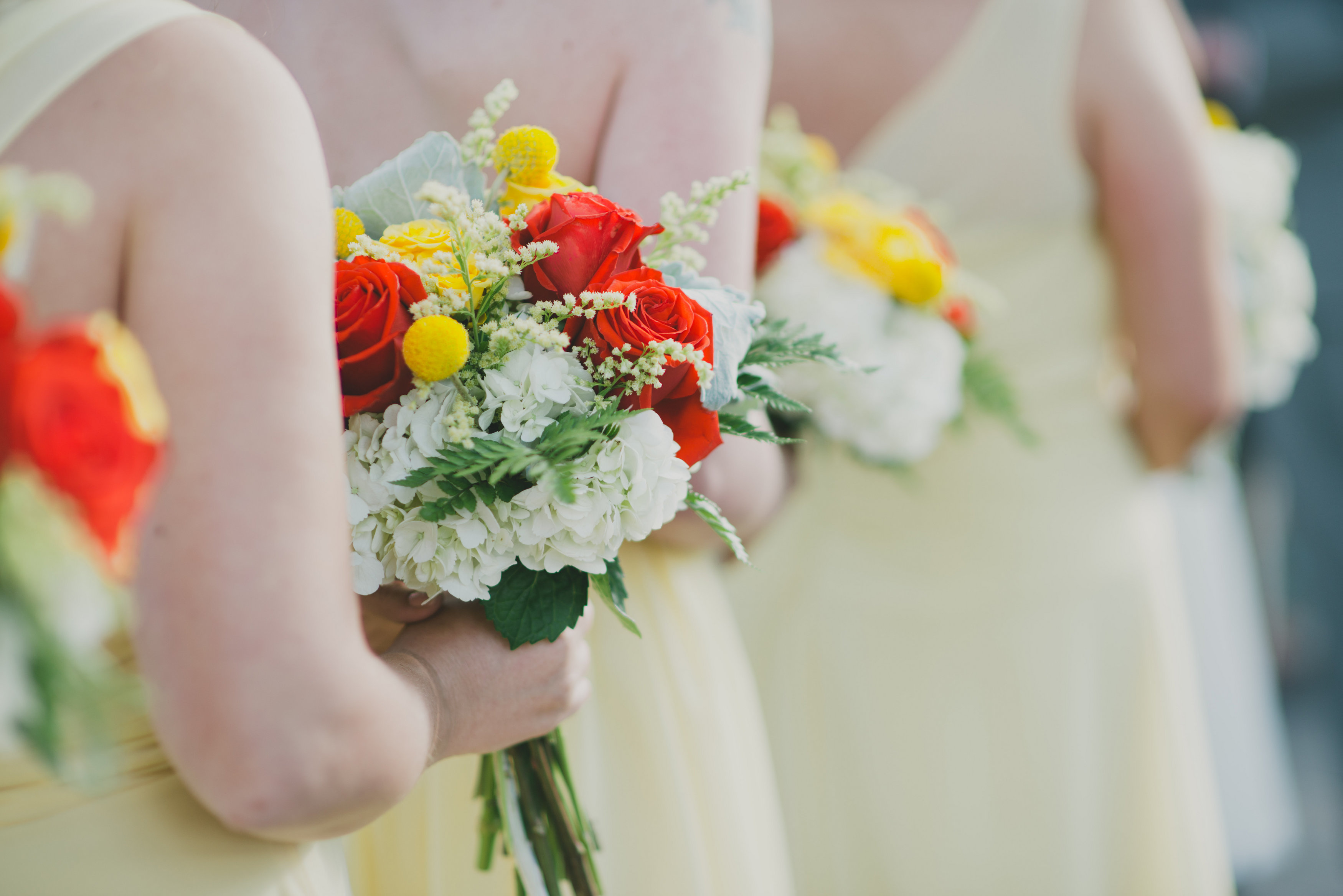 View More: http://sarahmckenziephoto.pass.us/cira-cameron-wed