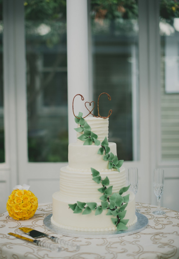 View More: http://sarahmckenziephoto.pass.us/cira-cameron-wed