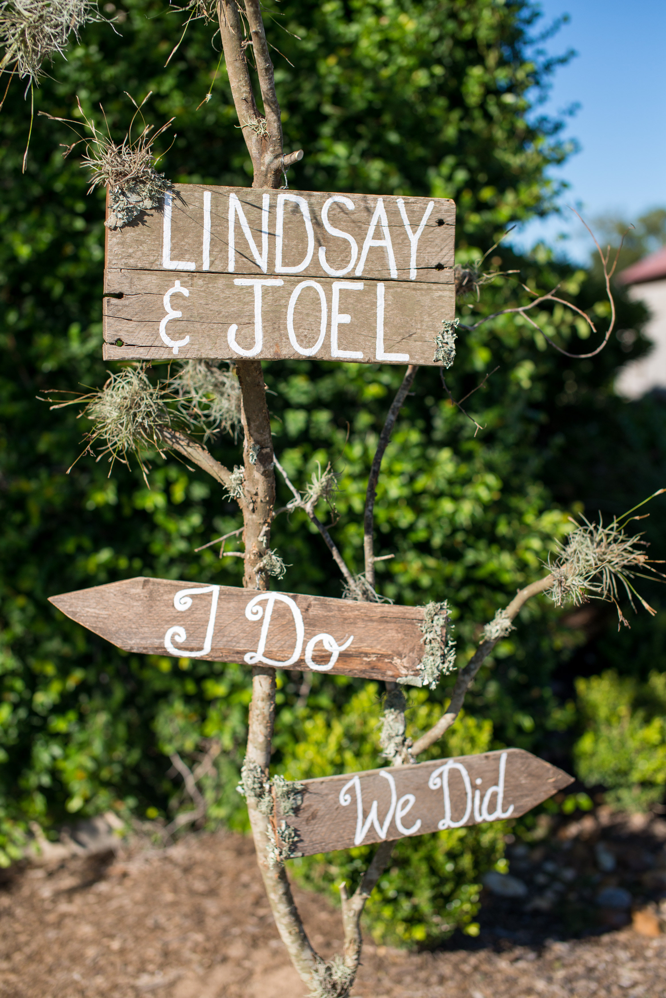 View More: http://christaelyce.pass.us/lindsayjoel