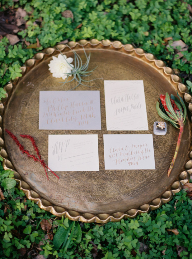 jenna mcelroy photography-16
