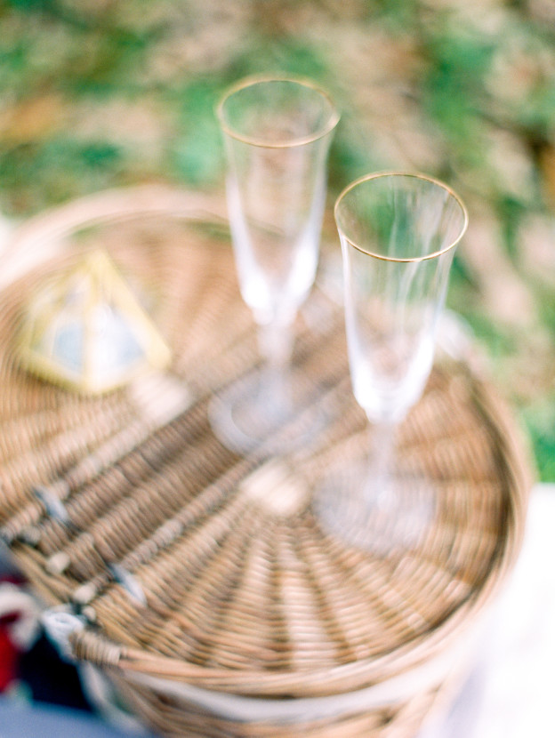 030715_Ashley and Matthew Proposal-11