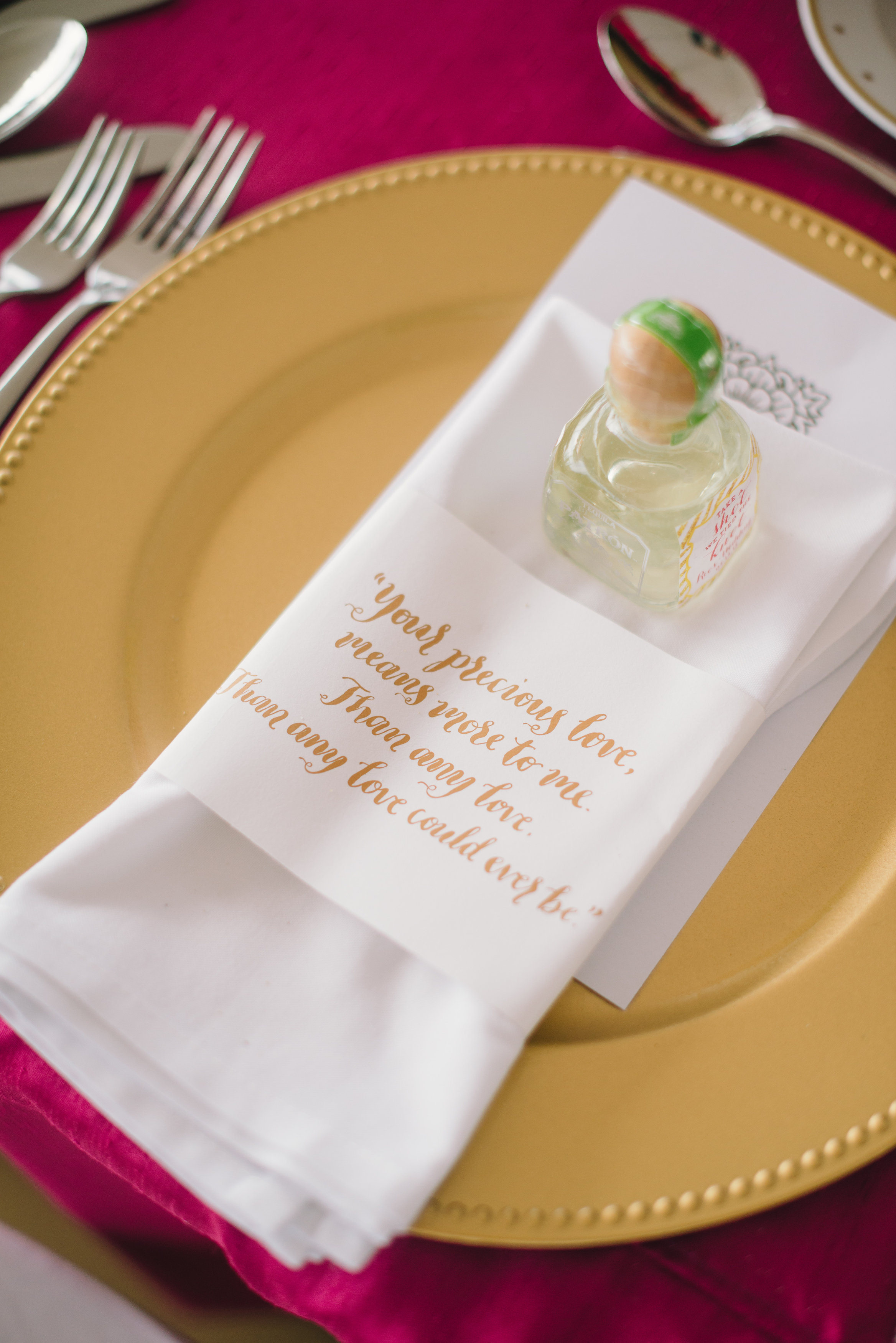 Francisca+DiegoWed2.14.15-270