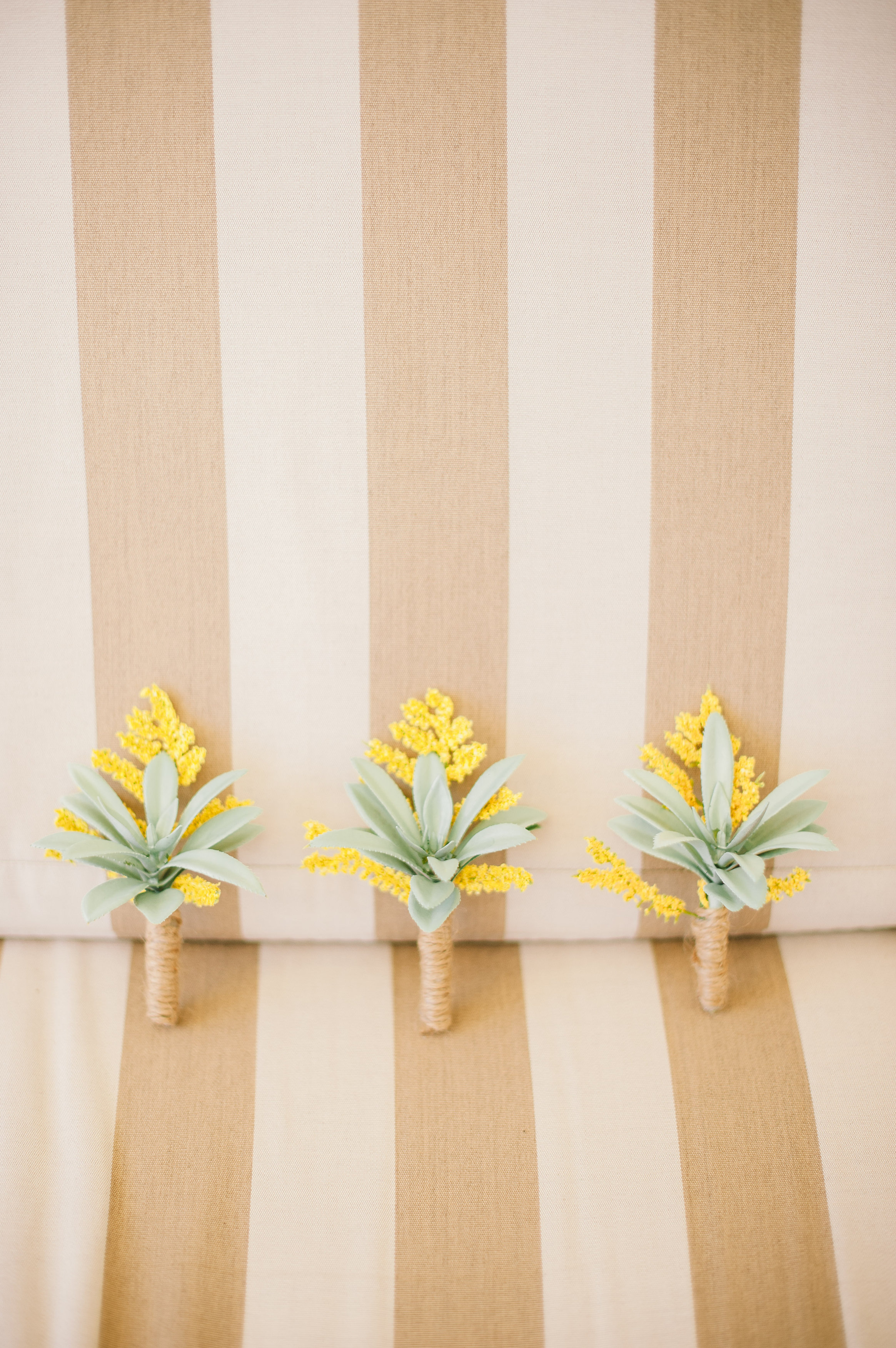 Francisca+DiegoWed2.14.15-42