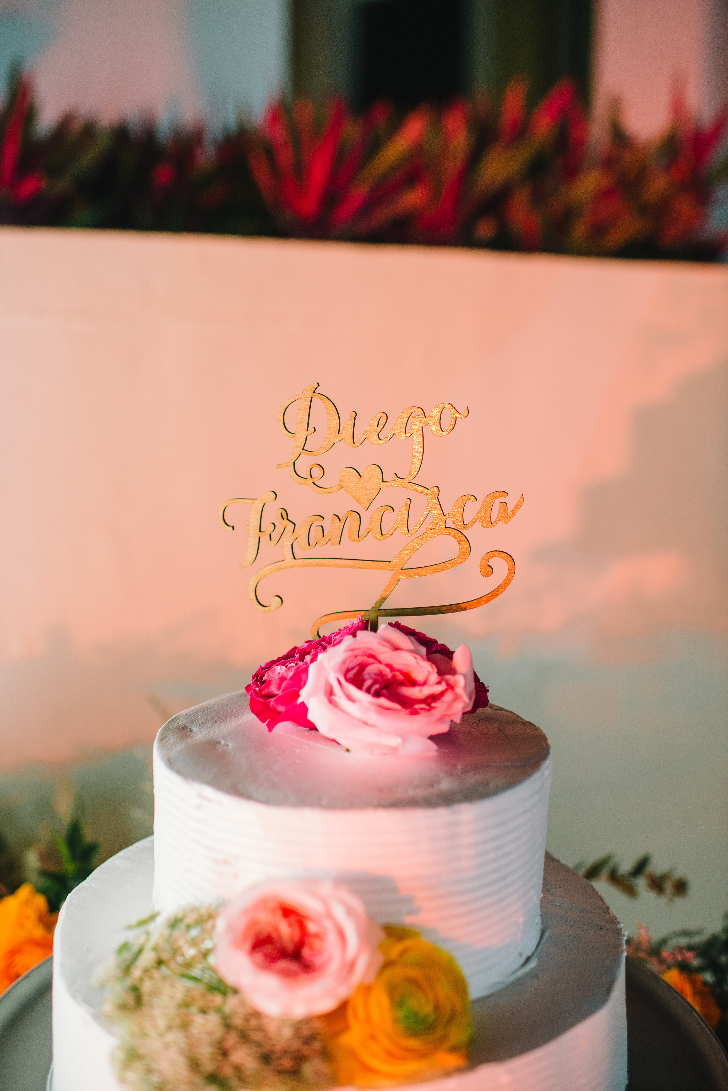Francisca+DiegoWed2.14.15-680
